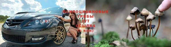 MESCALINE Алзамай