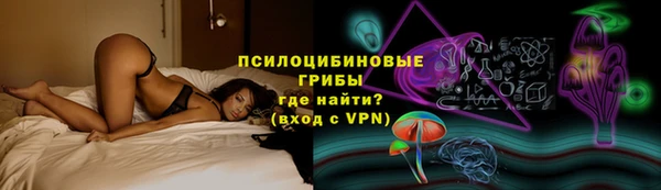 гашик Алексеевка