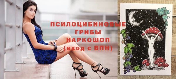 гашик Алексеевка