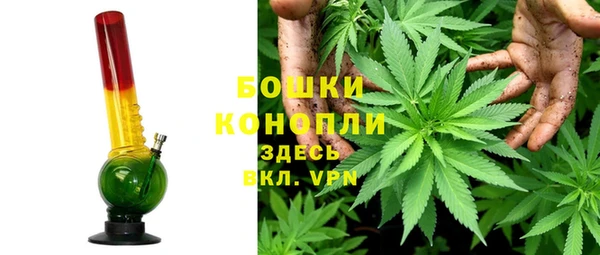 гашик Алексеевка